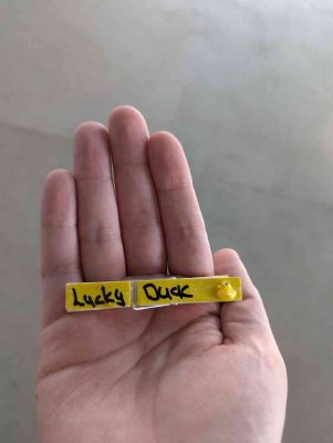 A hand holding up a clothespin painted yellow and with the text 'Lucky Duck' written on it as well as a small model of a duck next to the text.
