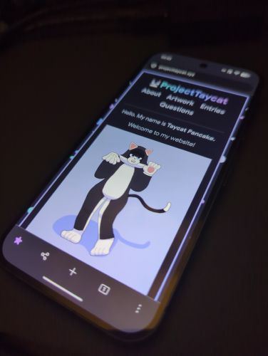 A picture of the front page of projecttaycat.xyz displayed on a Google Pixel 9 phone which is sitting on a desk.